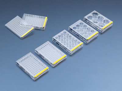 Tissue culture test plate, 12 wells (4 pcs), 72 pieces | Techno Plastic Products
