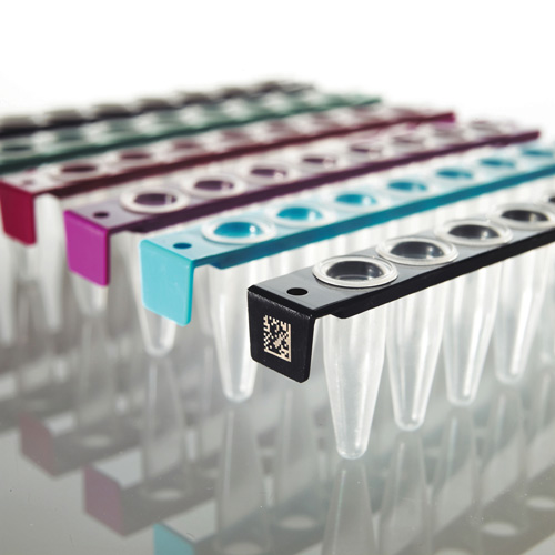 FrameStrip PCR stripy s plochým víčkem