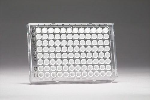 FrameStar PCR destičky pro LC 480